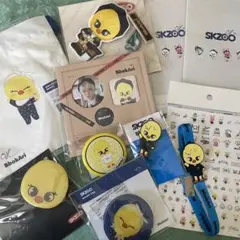 StrayKids スキズ ポガリ フィリックス まとめ売り