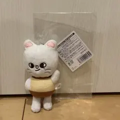 2025年最新】skzoo プリンの人気アイテム - メルカリ