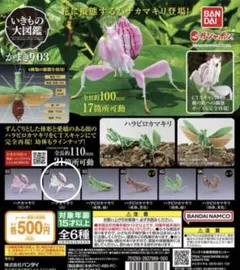 カマキリ カプセルトイ