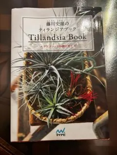 ティランジア・ハンドブック The Books