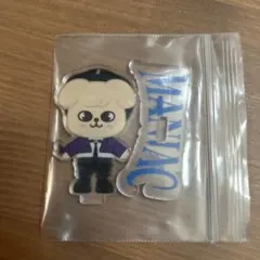 straykids スキズ maniac アクスタ スンミン パピーム