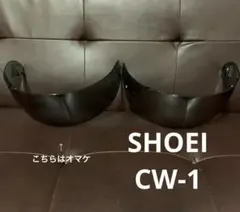 Item thumbnail for item 42dbbb68-201a-4570-82a4-07288a096918