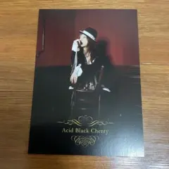 s*w様 Acid Black Cherry ポストカード ボールペン ビニール Acid Black Cherry CRISIS 購入特典ポストカード - メルカリ