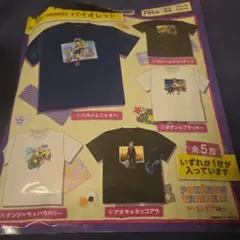 ポケモン トレーナー Tシャツ ボタン&ブラッキー