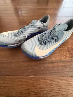 AIR ZOOM MAXFly 25cm 美品 値下げ可 Nike Air Zoom Maxfly | Trackandfieldclothes