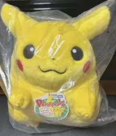 ポケモン　30周年記念　おかえり　ピカチュウ　1/1