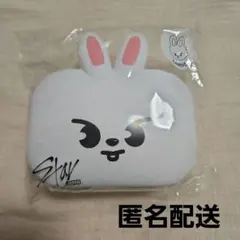 straykids Leebit まとめ売り スキズ リノ グッズ まとめ売り leebit skzoo - メルカリ