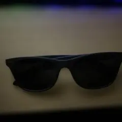 ブラック サングラス