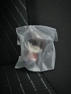 BTS 肩ズン TinyTAN Dynamite J-HOPE