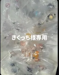 きくっち様専用