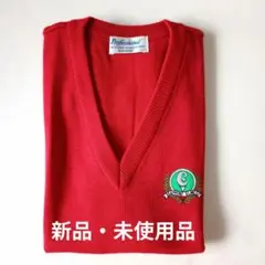 【Professional ・赤 Vネック ベスト】