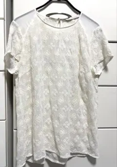 ZARA TRAFLUC 刺繍 半袖ブラウスのサムネイル