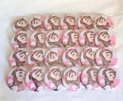 ヒロアカ 麗日お茶子 7期新ビジュアル 缶バッジ 24点セット