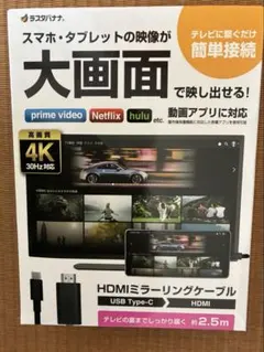 ラスタバナナ　HDMIミラーリングケーブル USB Type-C 約2.5m