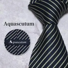 【美品】Aquascutum ネイビー ストライプ レジメンタル ネクタイ