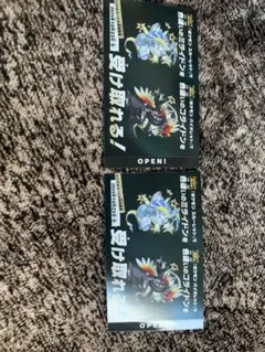 色違いミライドン　コライドン2体