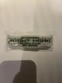 right here カプセルトイ ミンギュ