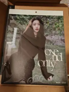 IVE ウォニョン dicon カレンダー 未開封