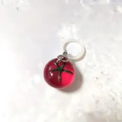 涼を感じるめじるしアクセサリー＊とまと