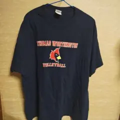 GILDAN THOMAS WORTHINGTON Tシャツ XL