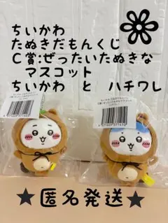 ちいかわ　たぬきだもんくじ　Ｃ賞　ぜったいたぬきなマスコット　ちいかわ　ハチワレ