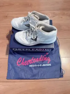 Item thumbnail for item e3828a53-753e-4dd3-b740-fabb9cf452a8