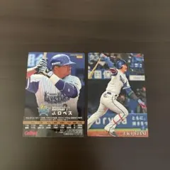 プロ野球トレーディングカード2枚セット　横浜DeNAベイスターズ