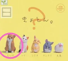 2026年最新】カプセル豆しばの人気アイテム - メルカリ