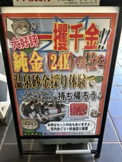 2025年最新】砂金の人気アイテム - メルカリ