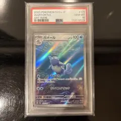 トレーナーズ vol.17 カードe カメール プロモ　psa10 トレーナーズ vol.17 カードe カメール プロモ psa10 Yahoo