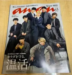 anan No.2228 SnowMan