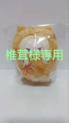 椎茸　プロフ必読様 リクエスト 2点 まとめ商品