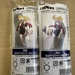 ハイキュー　B2タペストリー　宮治　宮侑