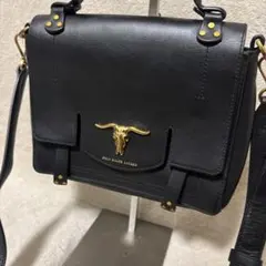 極美品⭐️Polo ralph lauren クロスボディバッグ Schooly