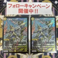 フィオナフォレスト2枚 セット - メルカリ