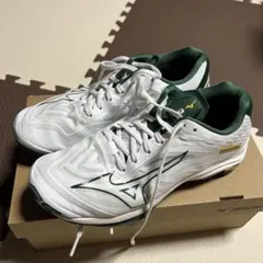 MIZUNO WAVE FANG PRO 27.0 箱付き使用3回のみ - メルカリ