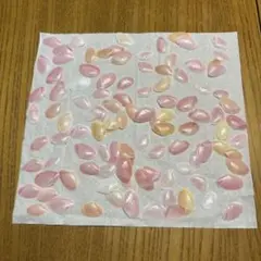 桜貝 サクラガイ 約110枚程