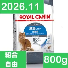 Item thumbnail for item f43c2329-ae8d-4d23-94dc-603d4de0d48f