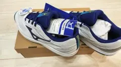 値下げ！ミズノ テニスシューズ BREAK SHOT 5 WIDE CS