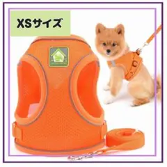 Item thumbnail for item 146c6cfb-2532-4f27-ab74-e079c6bc2018