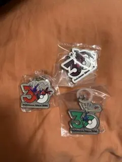 ポケモン　30周年メタルチャームマスコット