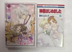 神様はじめました 25.5 公式ファンブック DVD同梱版 2609au001 - メルカリ