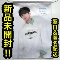 超希少‼︎　seventeen ファブリックポスター popup 2020 ウォヌ