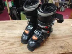 2026年最新】ダルベロ lupoの人気アイテム - メルカリ