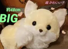ちょコンとキツネ　くるんとおねむ　ウルトラBIG わたあめ　こんぺいとう　きなこ