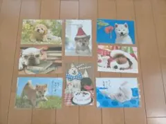 ポストカード37枚セット