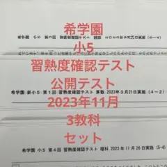 2025年最新】希学園 公開テストの人気アイテム - メルカリ