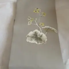 真作/庭山耕園/河骨図/コウホネ図/桐題箱付/布袋屋掛軸HI-266 - メルカリ