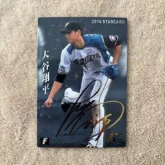 プロ野球チップス 大谷翔平 2014 スターカード 金箔 サイン 日ハム