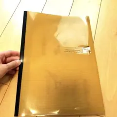 Item thumbnail for item 7737e849-e23c-469b-914b-cc9f68ec726f